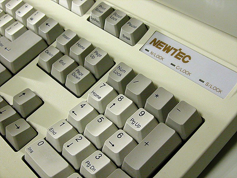 DSCN0083.jpg : 뉴텍 키보드