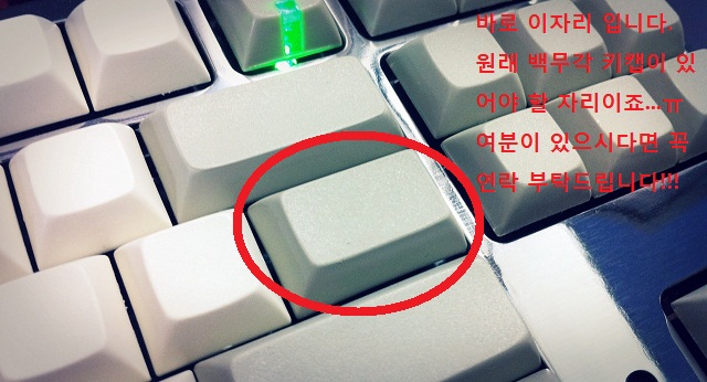 역슬래시.jpg