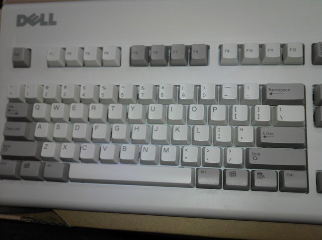 Dell_3.jpg