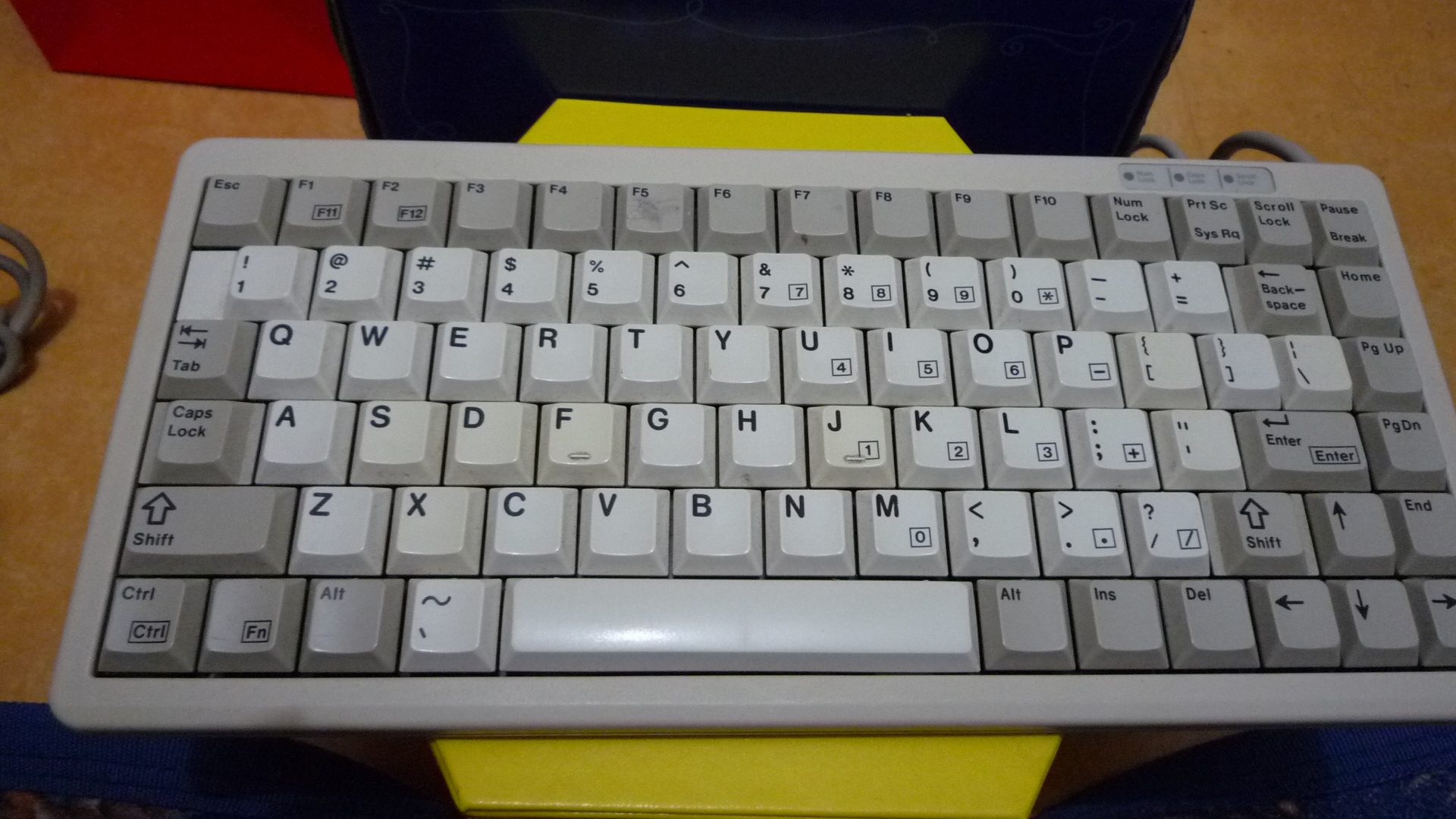 P1000041.JPG
