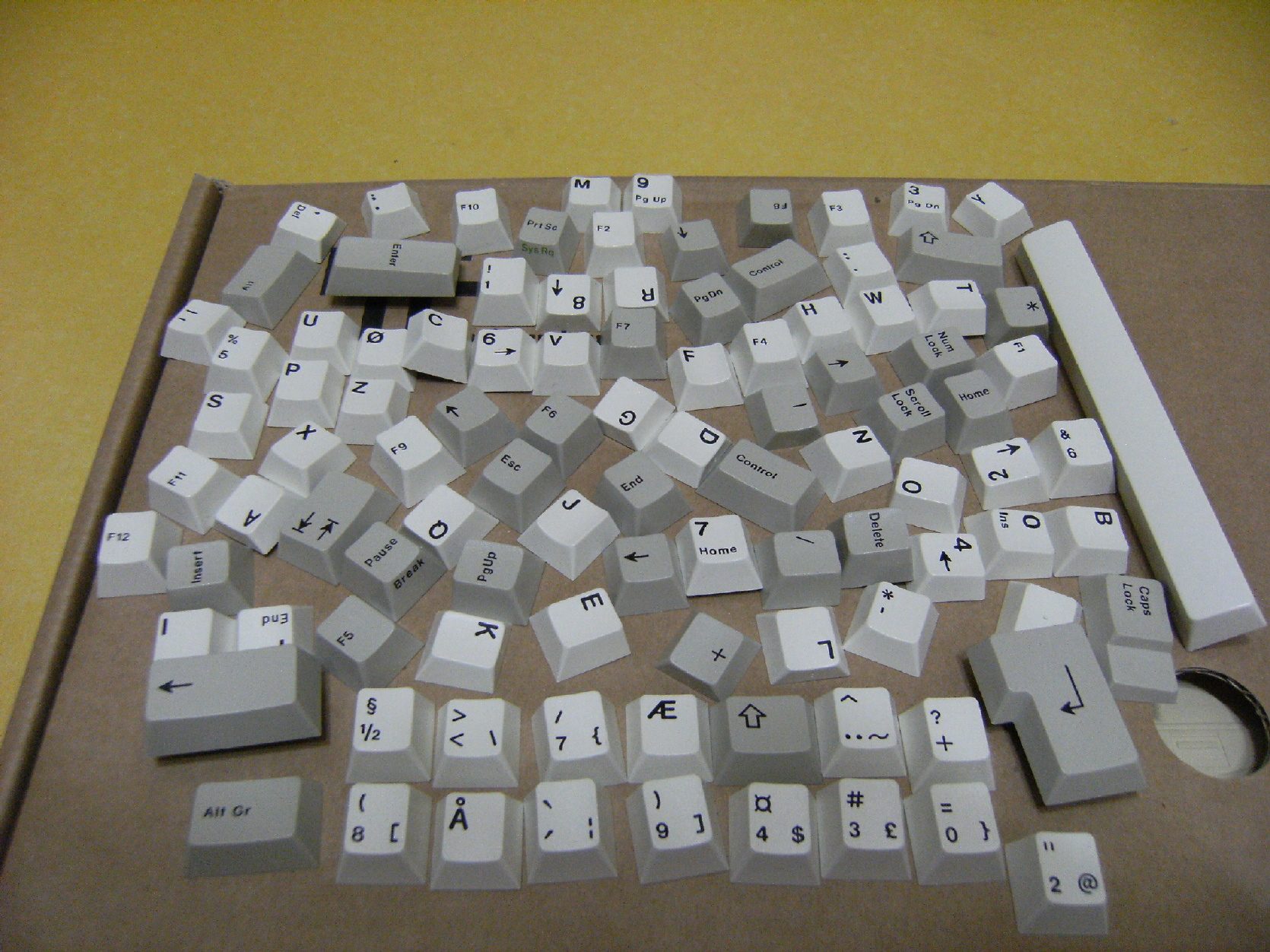 DSCF0929.JPG