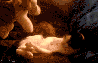 1336840168.gif : SOSO한 물품 몇개 판매합니다 1336840168.gif : SOSO한 물품 몇개 판매합니다