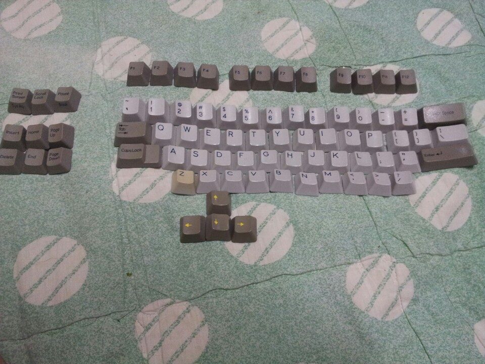 와이즈키캡.jpg