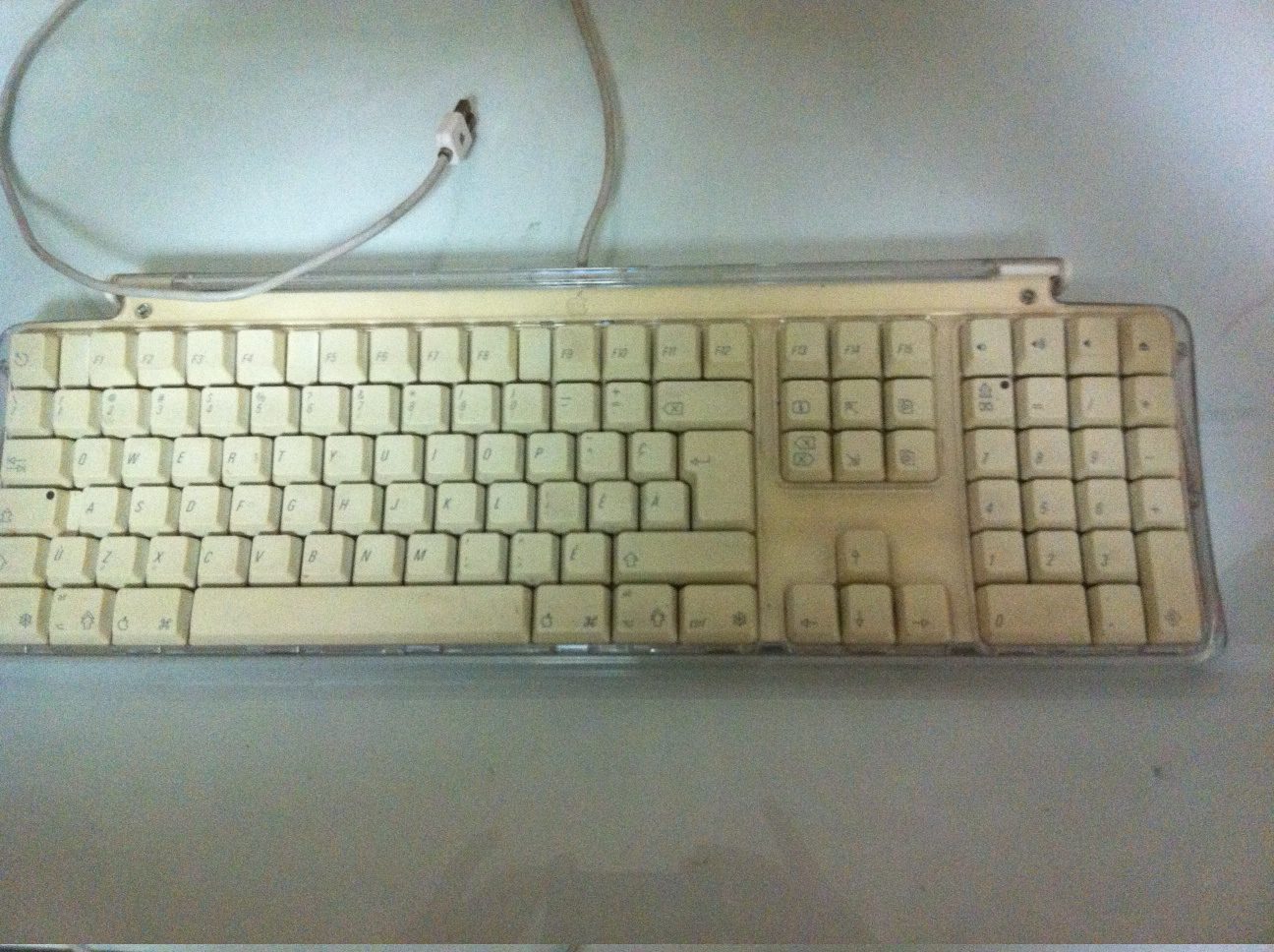 pro_1_c.jpg