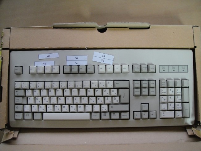 48-55.jpg