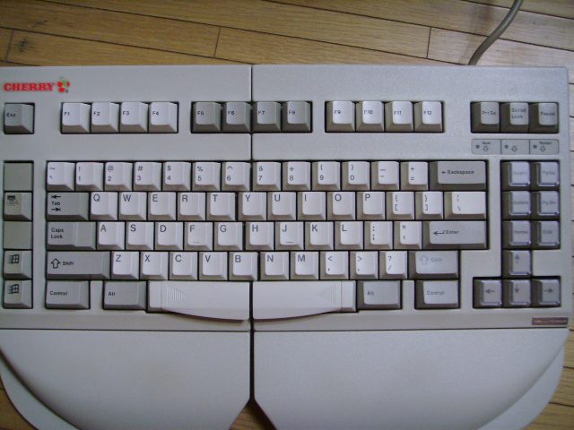 오징어01.JPG