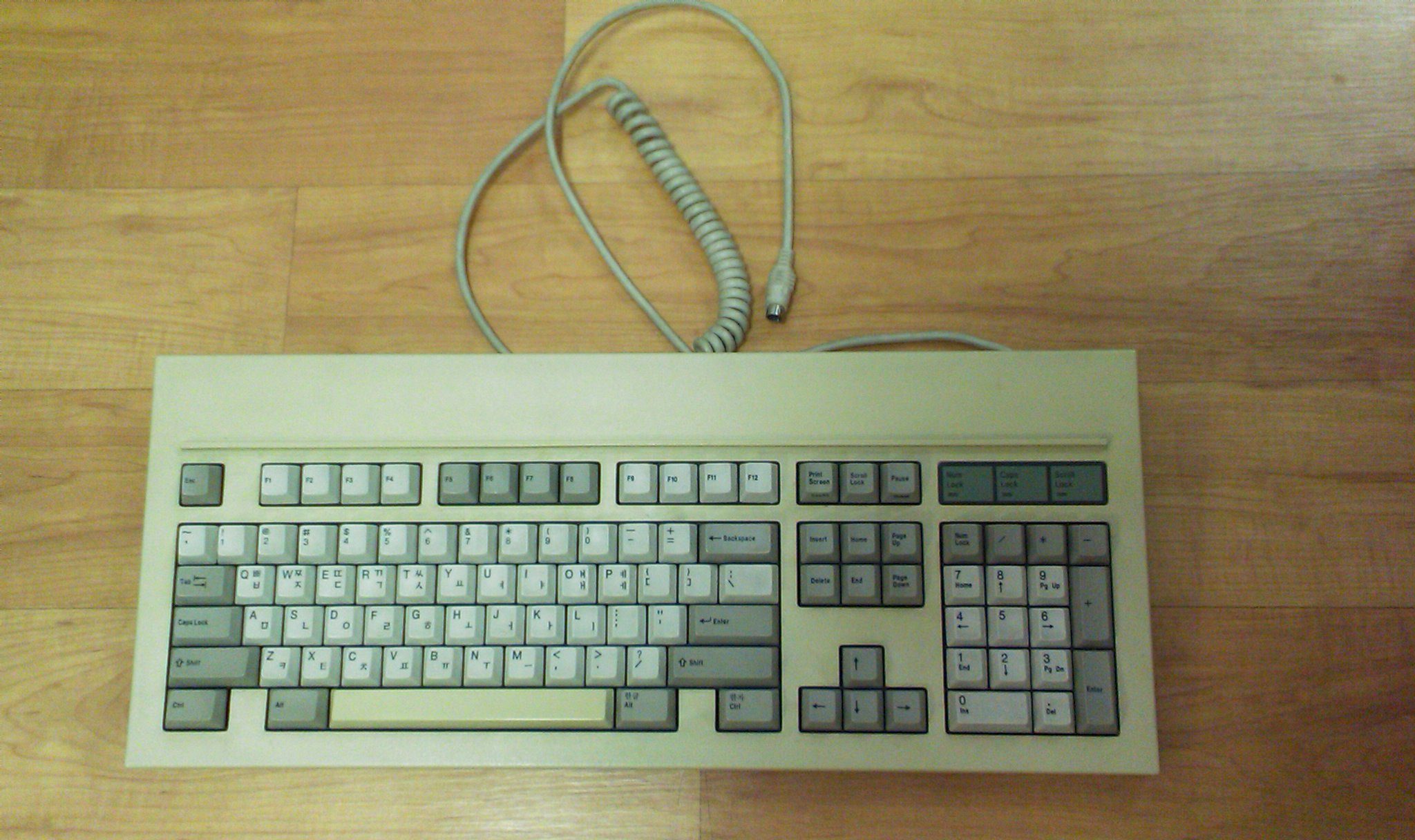 IMAG0067.jpg