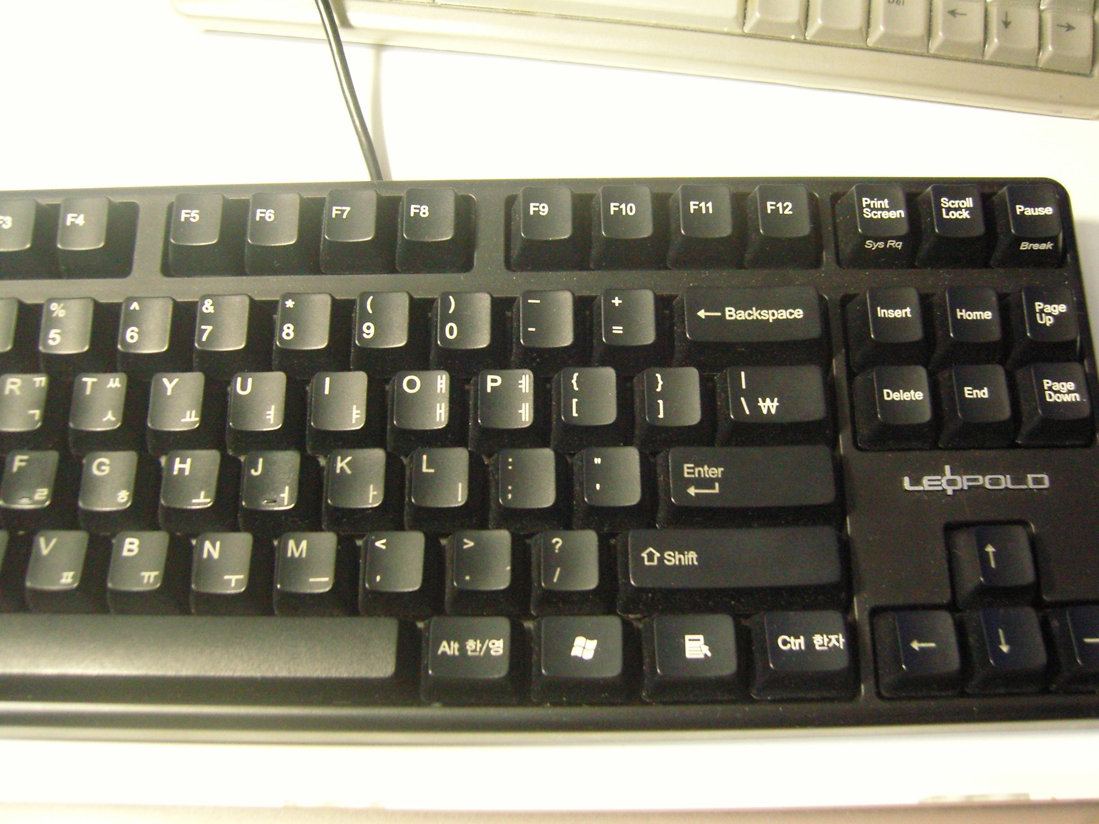 SNC17331.JPG