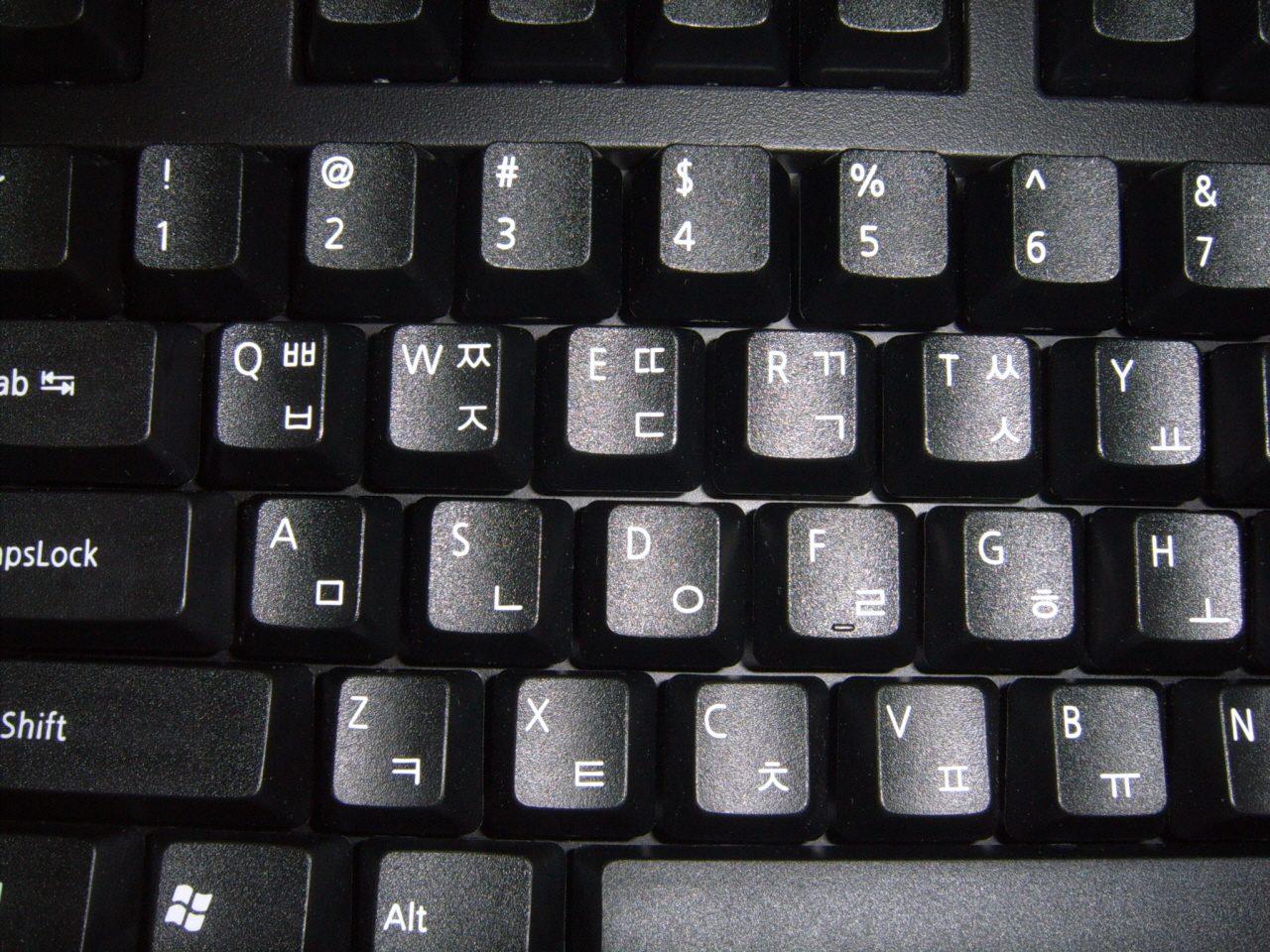 aaSUC52771.JPG