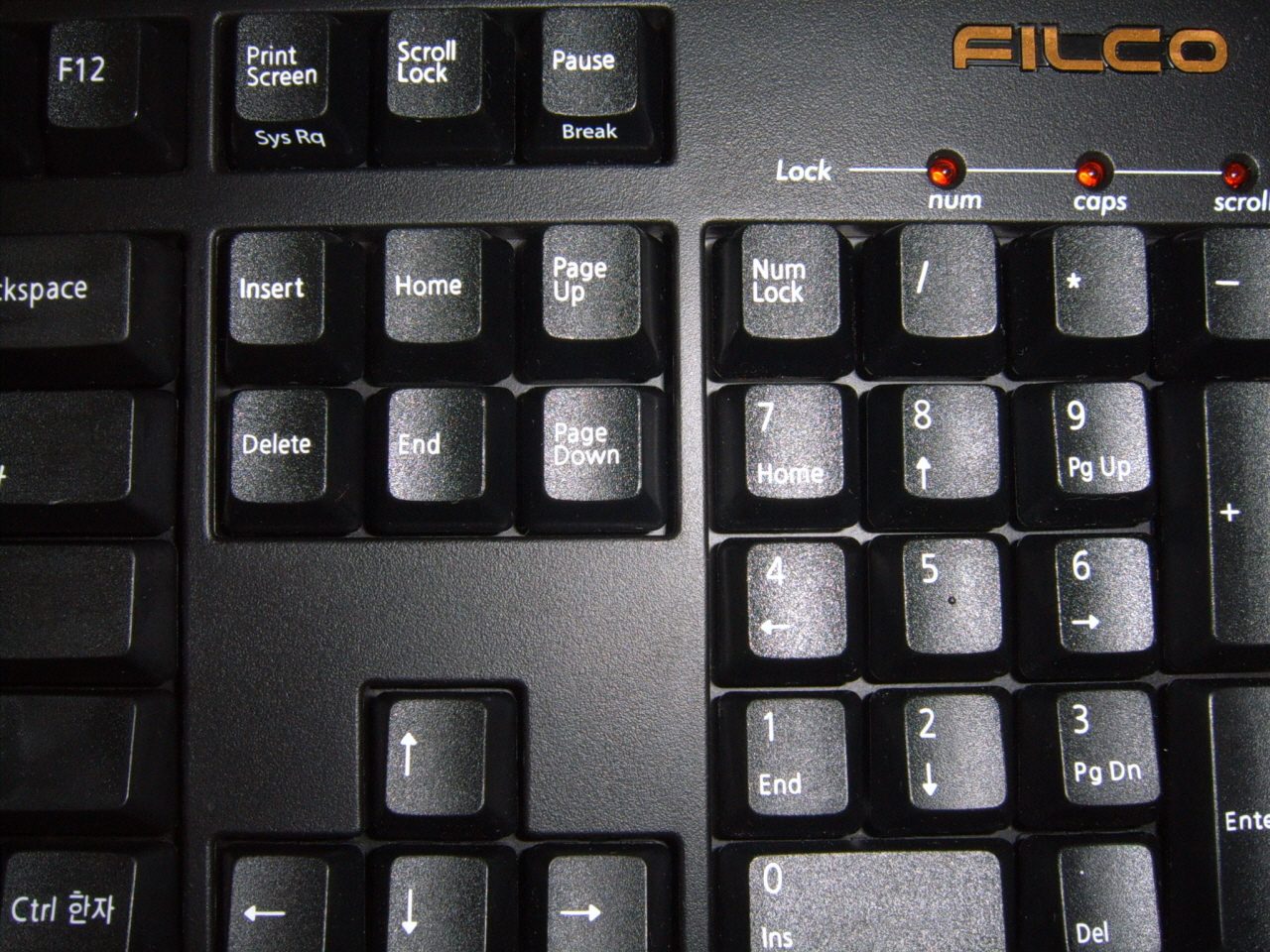 aaSUC52772.JPG
