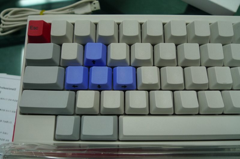 L1020481.JPG