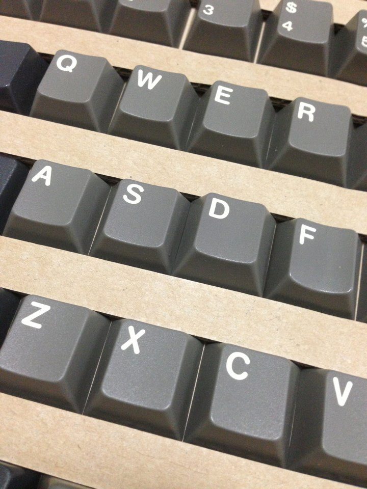 돌치2.jpg
