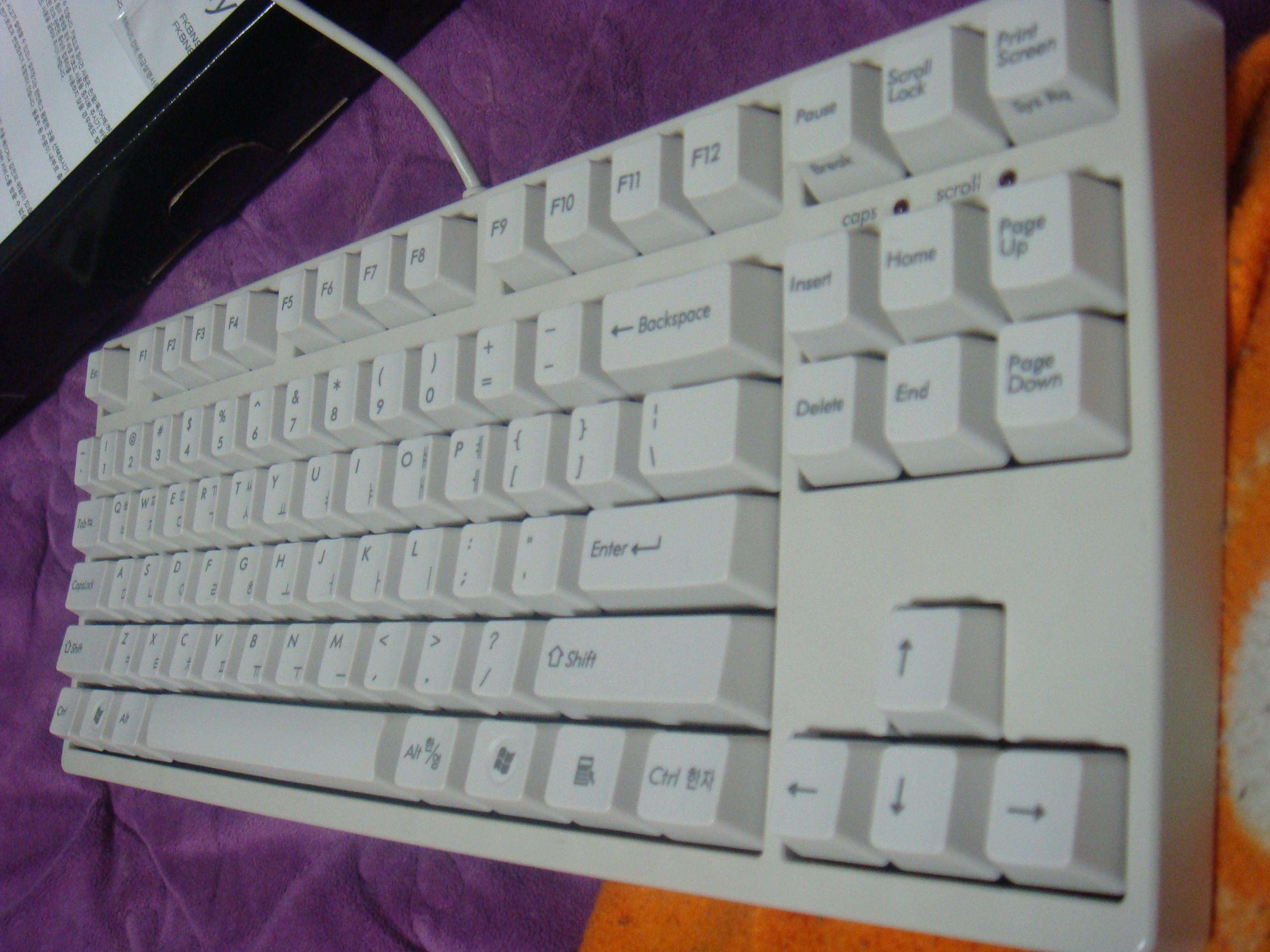 4650.JPG