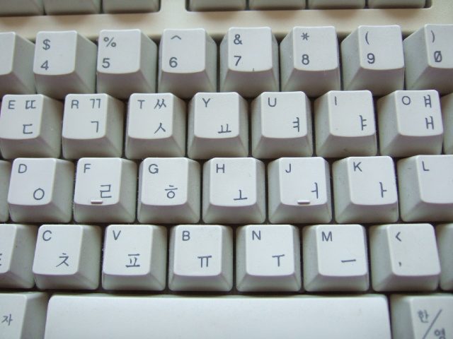DSCF2531.JPG