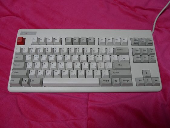 ppt-ppt-P1000136.JPG