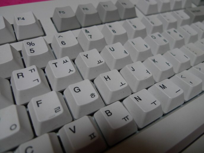 ppt-ppt-P1000137.JPG
