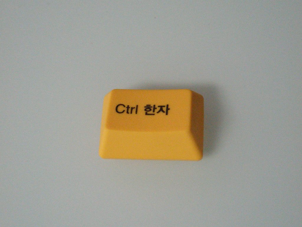 P1271272.JPG
