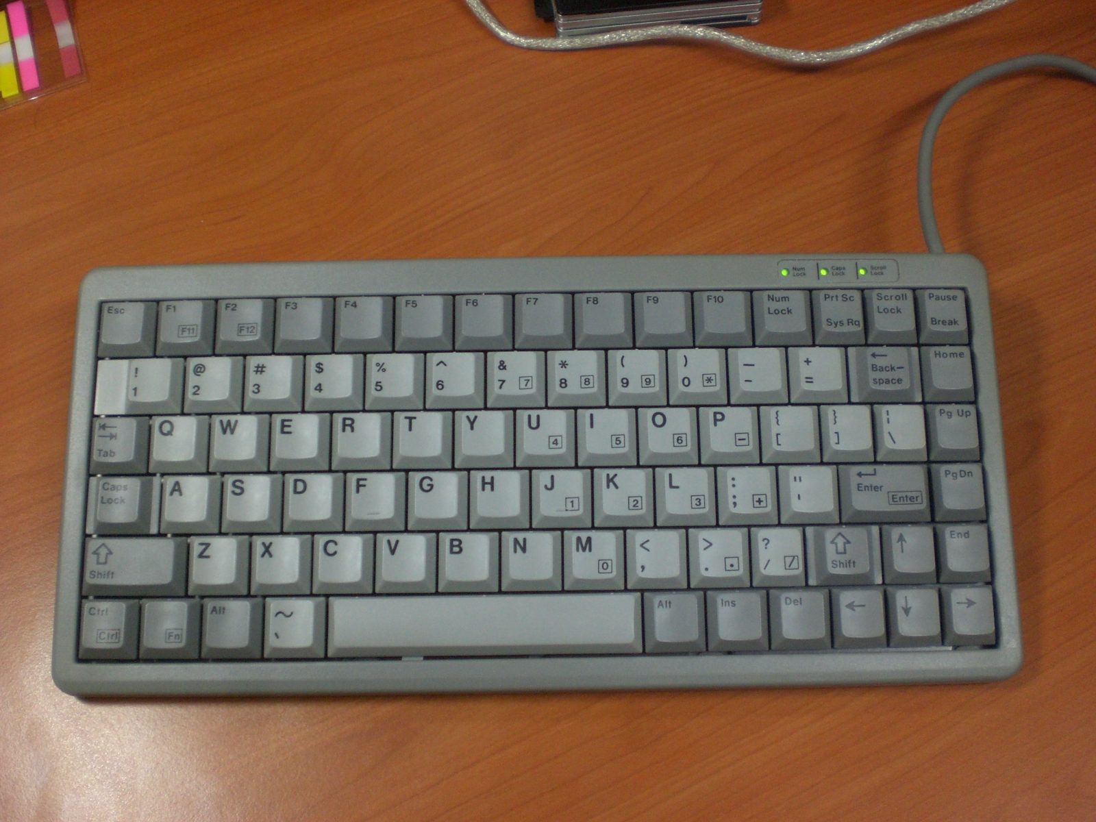 CIMG3166.JPG