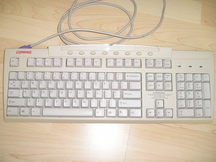 resized_P1010028.JPG