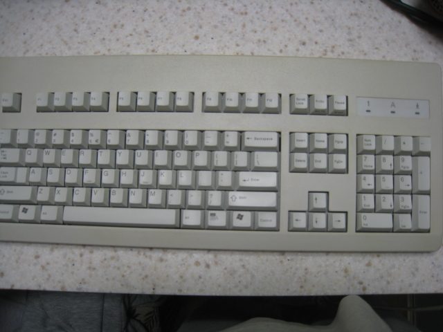 3000.JPG