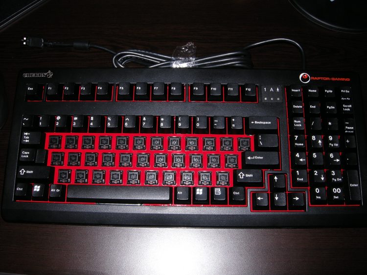 DSCN0093.jpg
