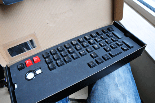 ducky_02.gif