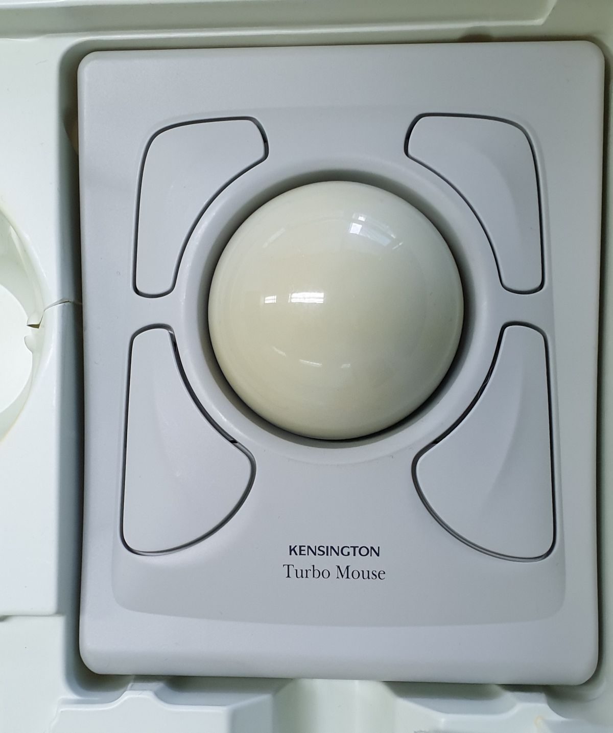 kensington_01.jpg