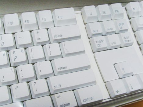 g5k6_snrnwl14.jpg