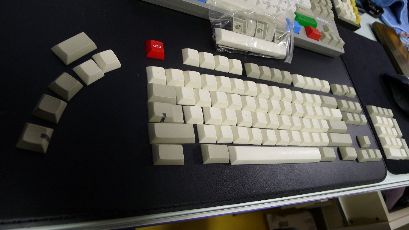 P1010551 (Medium).JPG