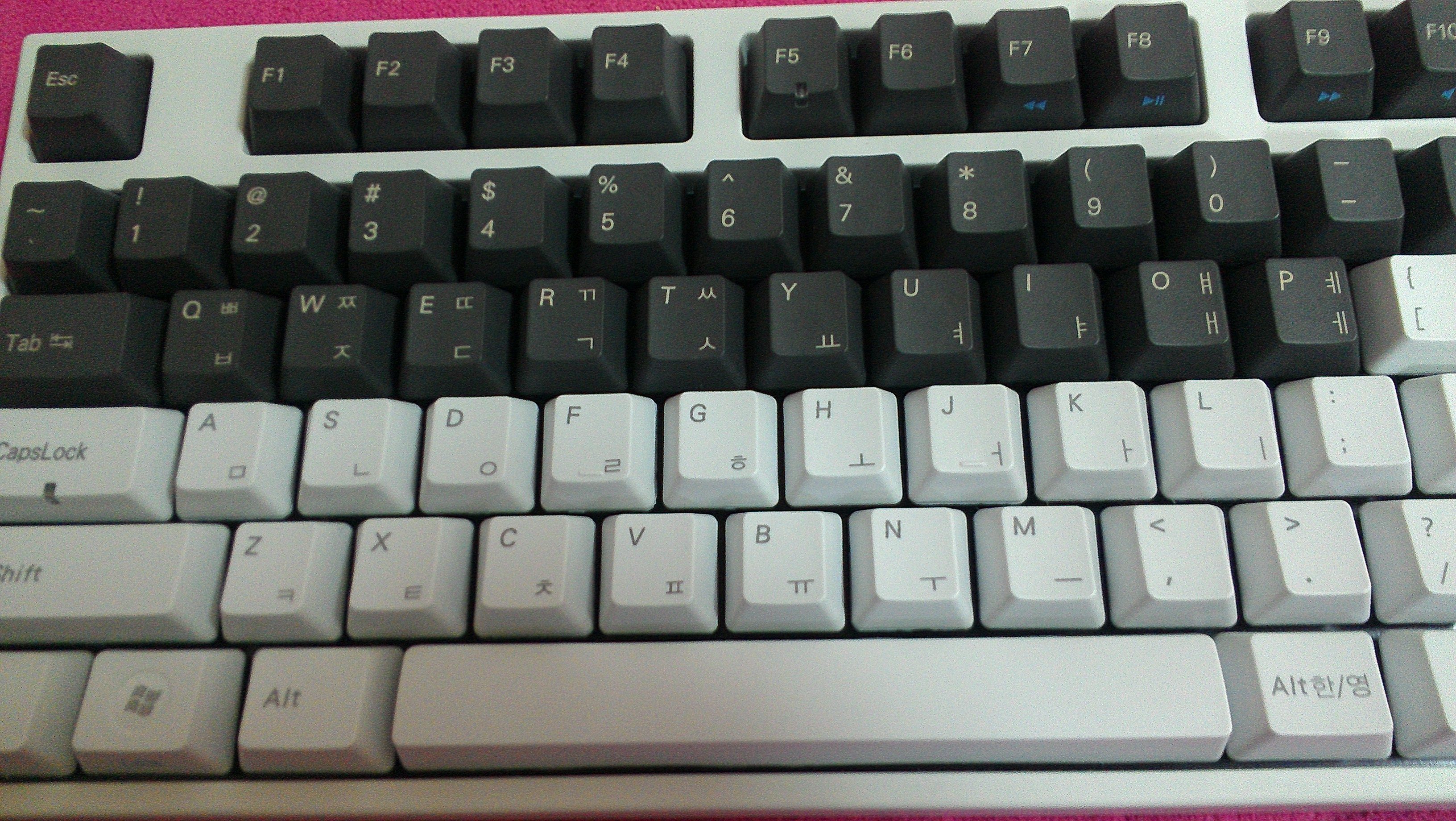 IMAG0431.jpg