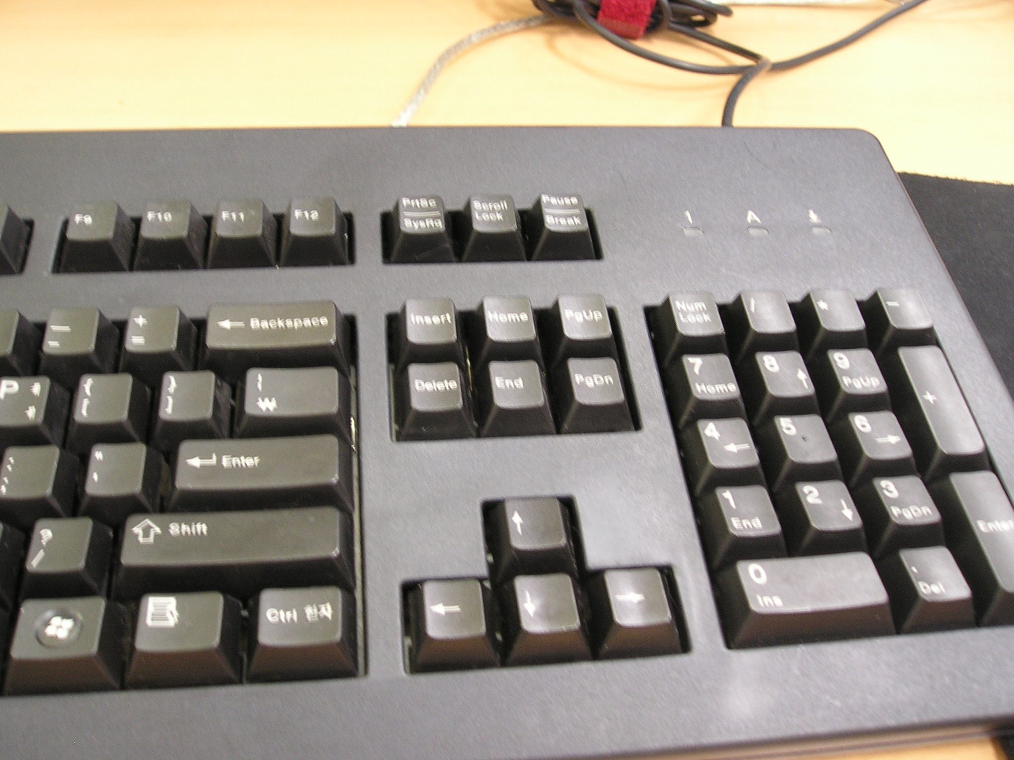 P1010017.JPG