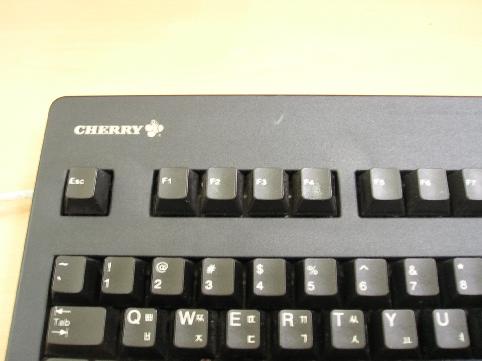 P1010022.JPG