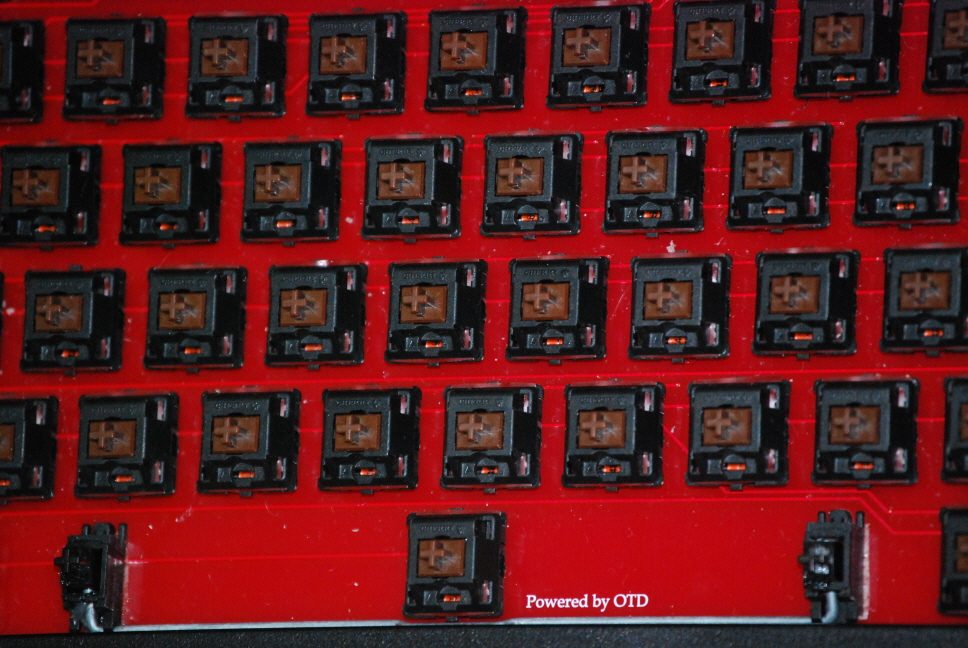 re_DSC_0071.JPG