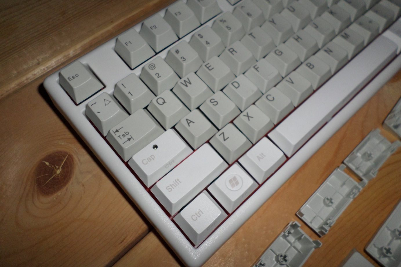 SAM_1296.jpg