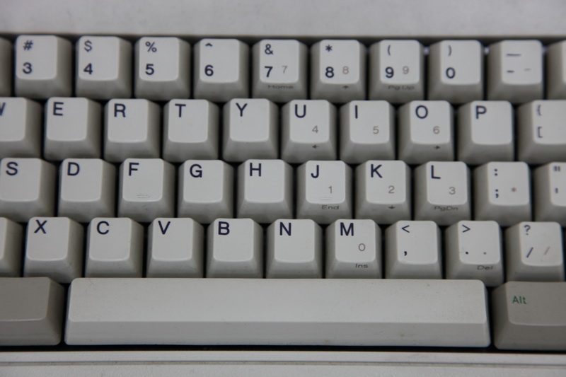IMG_8692_resize.JPG
