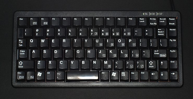 4100.jpg