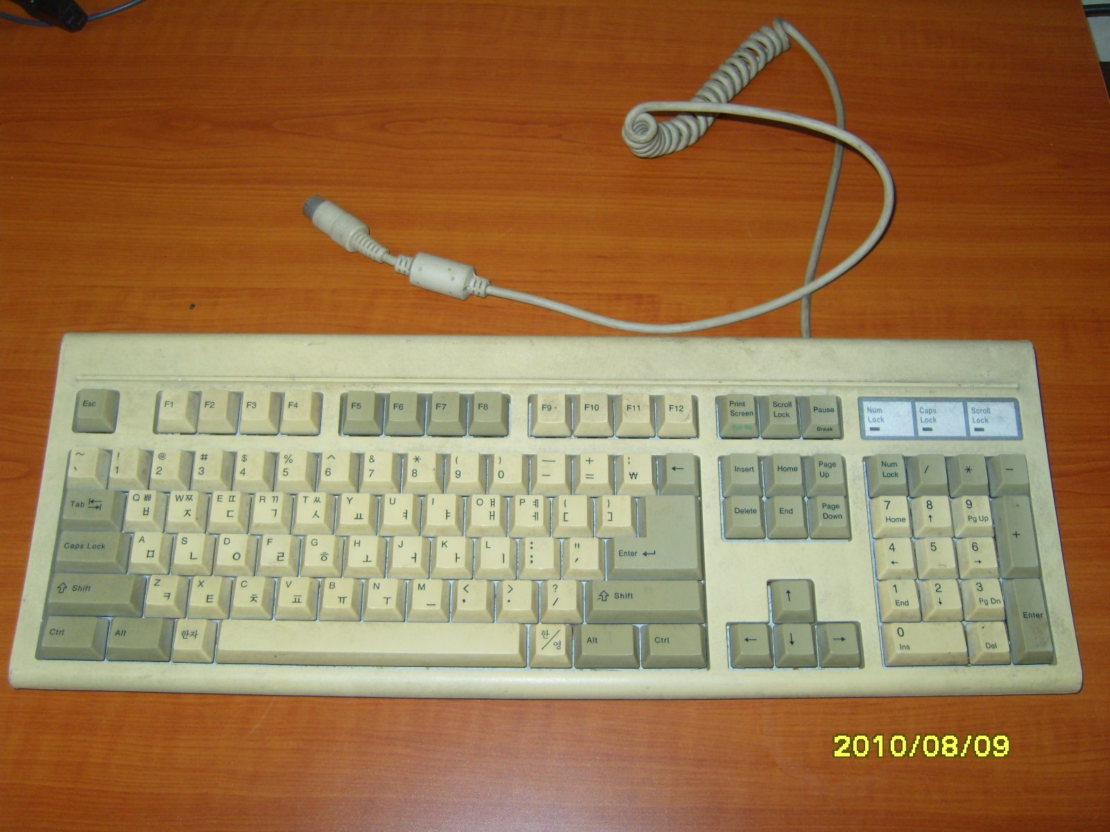 SS109594.JPG