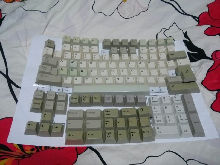 ca8b8a4226aeb46431750408513c1587.jpg : 잡 키캡 판매