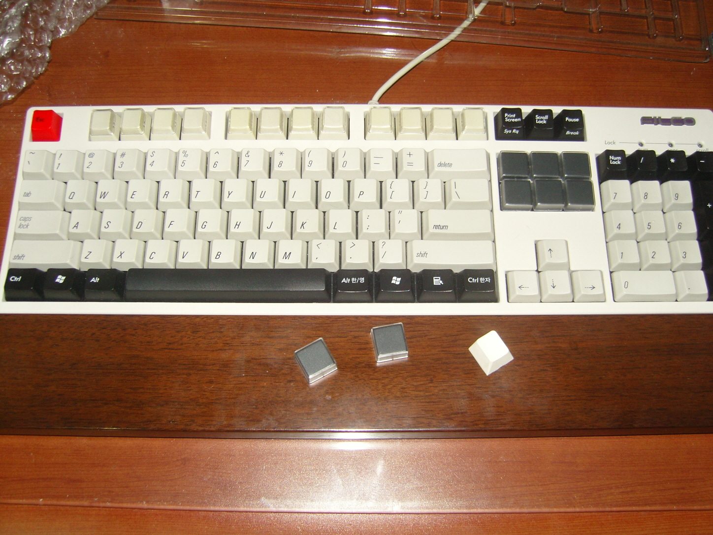 acerSNC11263.jpg