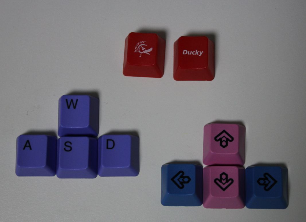 y.JPG