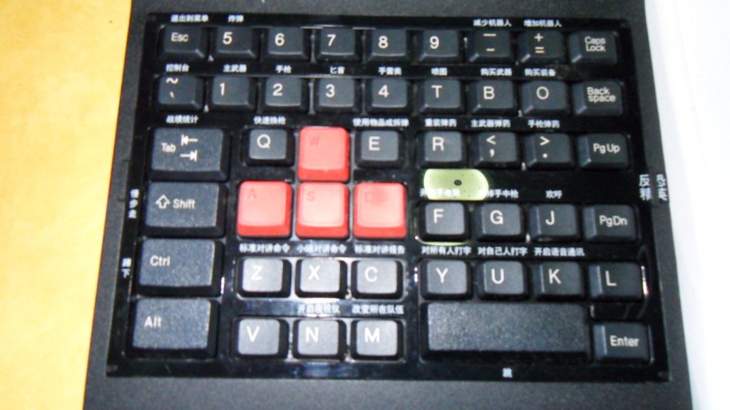 resize_SDC10124.JPG