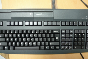 w_P1010569.JPG : 이것저것 분양 합니다.