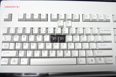 w_P1010568.JPG : 이것저것 분양 합니다.