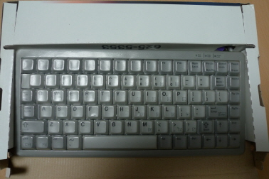 w_P1010564.JPG : 이것저것 분양 합니다.