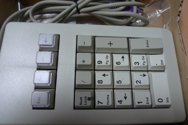 w_P1010563.JPG : 이것저것 분양 합니다.