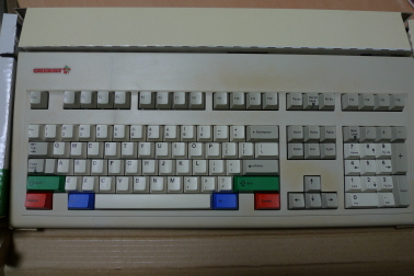 w_P1010572.JPG : 이것저것 분양 합니다.