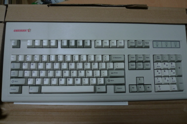 w_P1010571.JPG : 이것저것 분양 합니다.