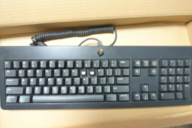 w_P1010575.JPG : 이것저것 분양 합니다.