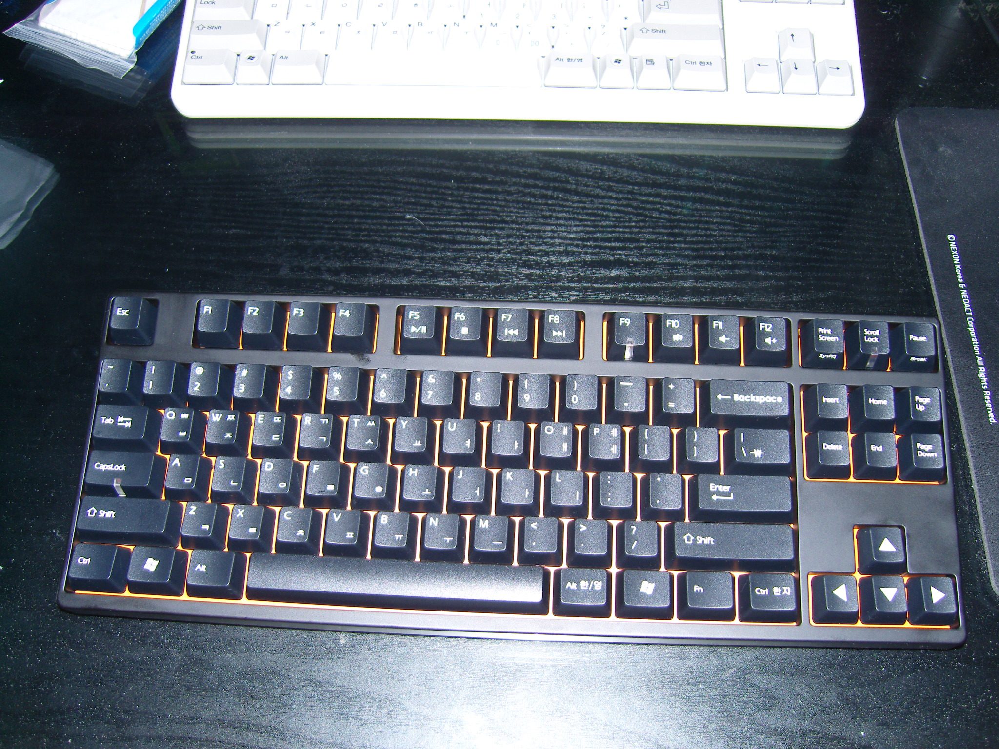 SN200495.JPG