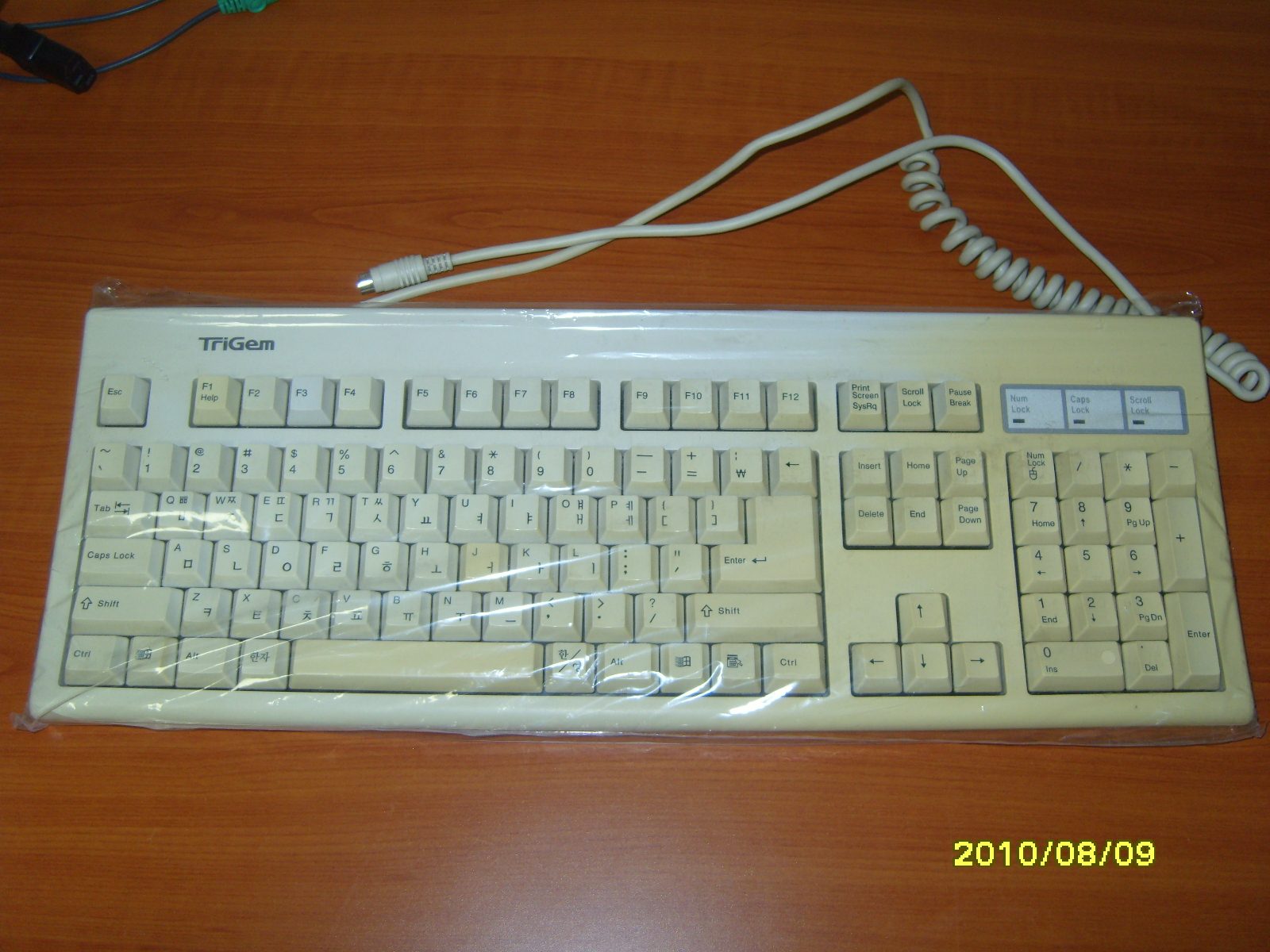 SS109598.JPG